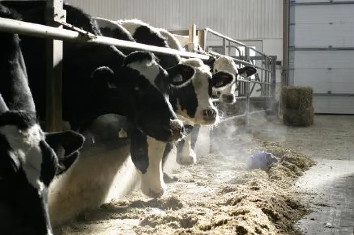 Bild: Bestätigte GVO-Freiheit