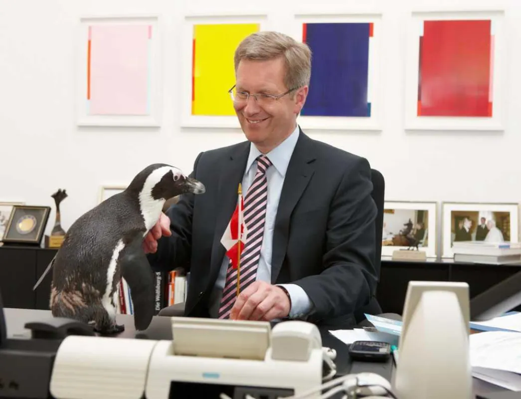 Brillenpinguin Fred überbringt Niedersachsens Ministerpräsident Christian Wulff die Einladung zur Eröffnung der neuen Kanadalandschaft Yukon Bay im Erlebnis-Zoo Hannover. Foto: Zoo Hannover