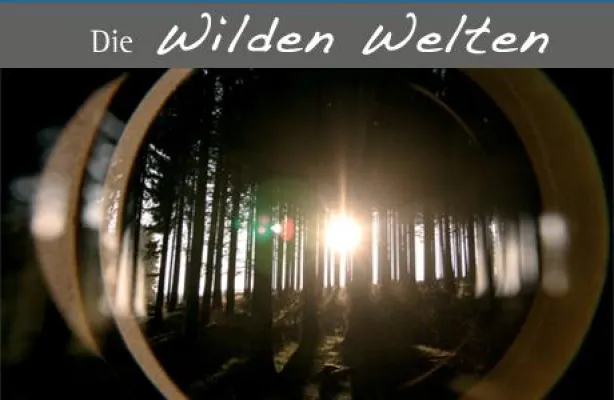 Bild: Freitag 12.06.2009 - Geführte Nachtwanderung auf dem Hohen Knochen in Schmallenberg im Sauerland