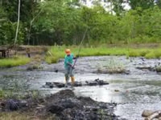 Bild: Chevron zu Schadensersatz in Ecuador verurteilt – Klima-Bündnis begrüßt das Urteil