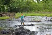 Bild: Chevron zu Schadensersatz in Ecuador verurteilt – Klima-Bündnis begrüßt das Urteil