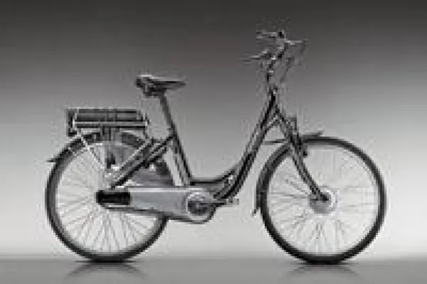Bild: Schnell und komfortabel: Das E-Bike der Rennserie