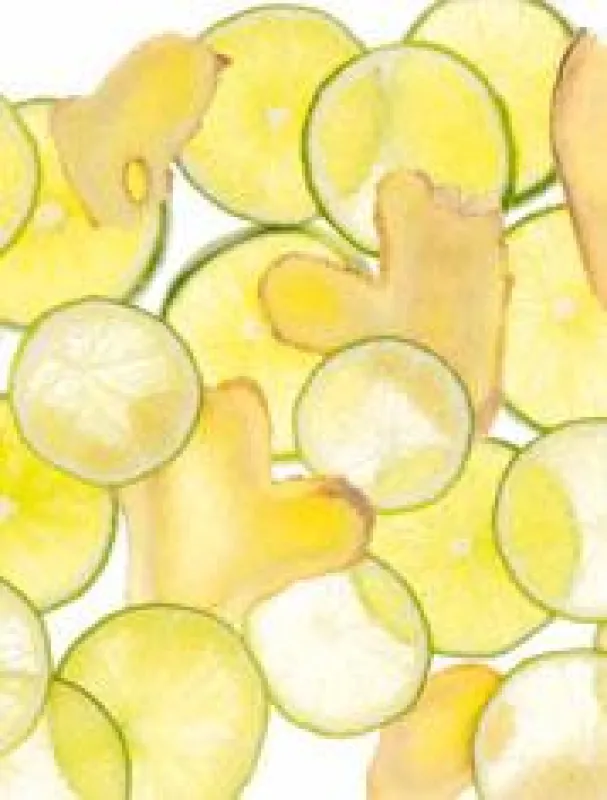 Frische Energie: PRIMAVERA Ingwer Limette Körperpflege