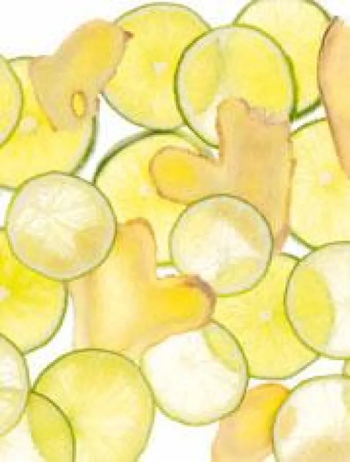 Frische Energie: PRIMAVERA Ingwer Limette Körperpflege