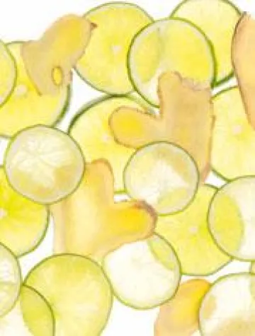 Bild: ENERGIE UND PFLEGE – MIT ENERGIZING INGWER LIMETTE VON PRIMAVERA