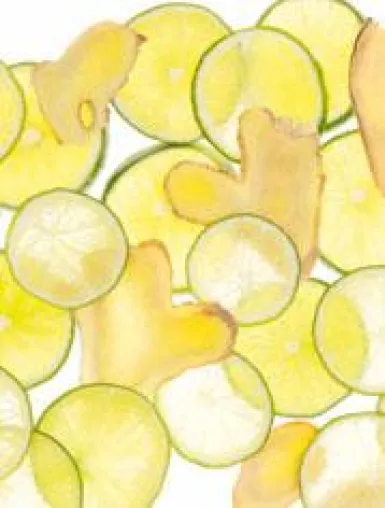 Bild: ENERGIE UND PFLEGE – MIT ENERGIZING INGWER LIMETTE VON PRIMAVERA