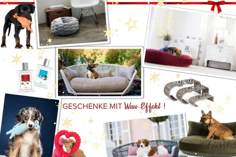Geschenke mit Wau-Effekt! Bild: Geschenke mit Wau-Effekt!