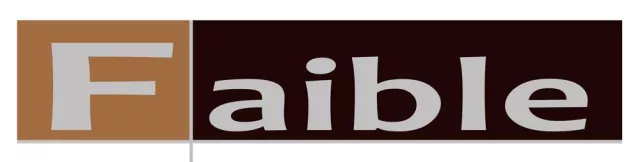 Bild: Faible - das neue exklusive Magazin für anspruchsvolle IndividualistInnen ab 12. September erhältlich