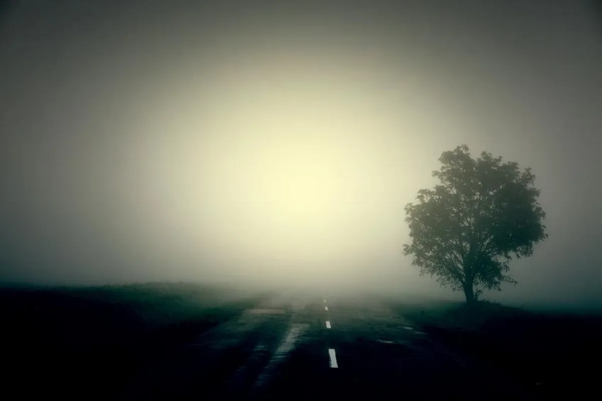 Der Nebel lichtet sich