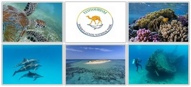 Bild: Wadi el Gemal – ein Tauchparadies im Roten Meer