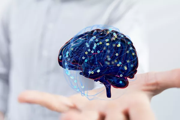 Neuromarketing und Verkaufspsychologie – Ein komplexes Zusammenspiel Bild: Neuromarketing und Verkaufspsychologie – Ein komplexes Zusammenspiel