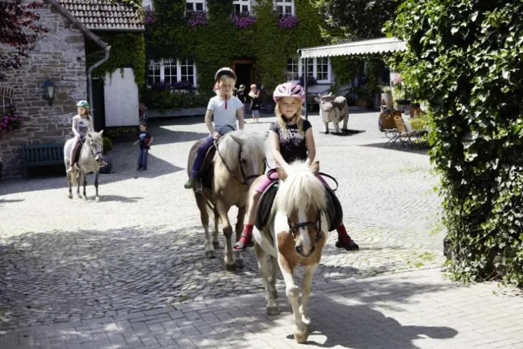Bild: Urlaub auf dem Bauernhof im Sauerland