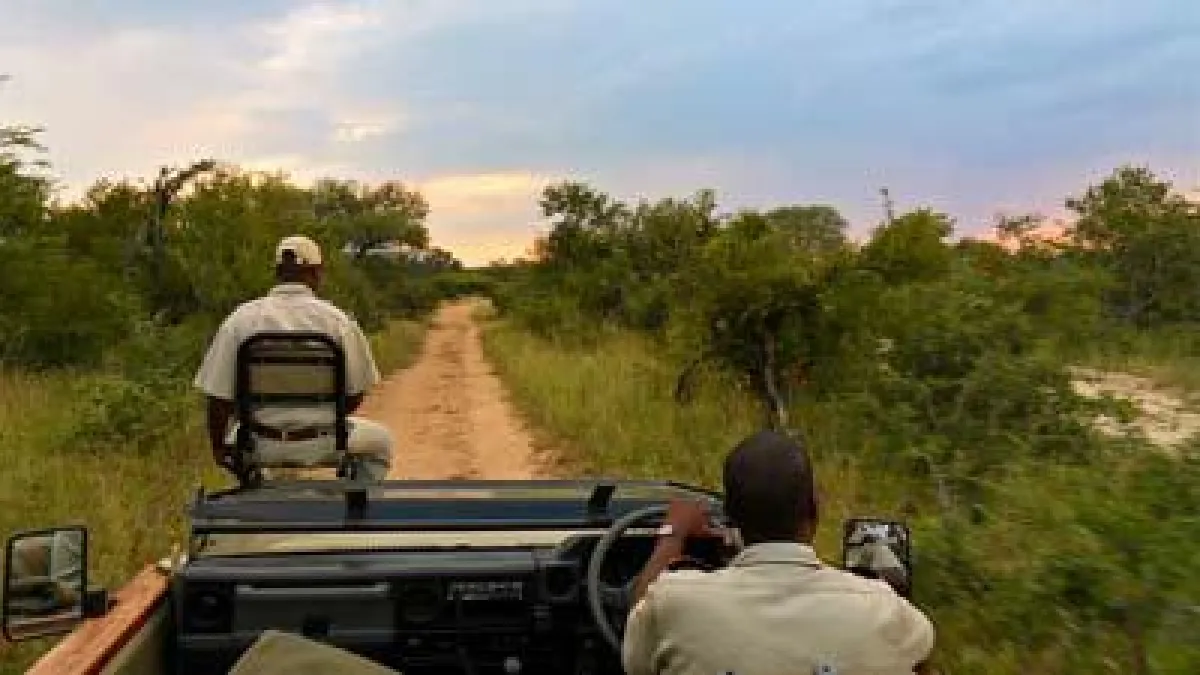Südafrika Safaris von intaba Reisen