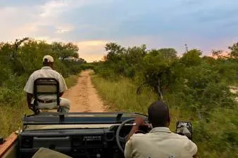Bild: Wissenswertes zu Südafrika Safaris