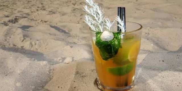 Bild: Friedrichskoog/Nordsee mit Weltnaturerbe-Cocktail und Gewinnspiel auf Grüner Woche 2010