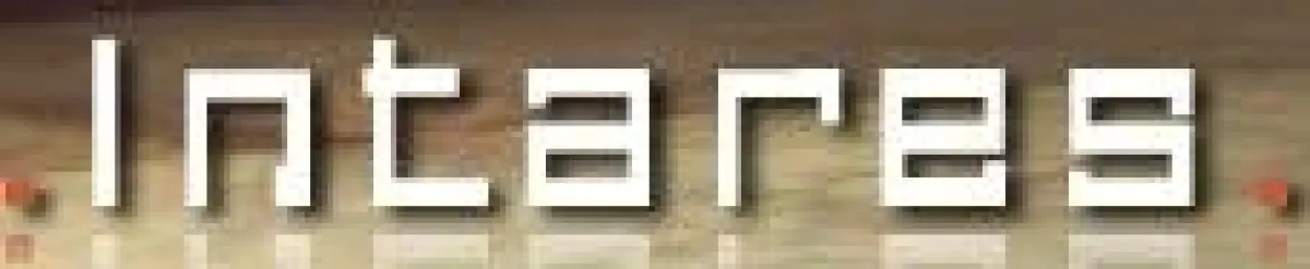 Spezialist für IT-Outsourcing und Managed Services: Intares.