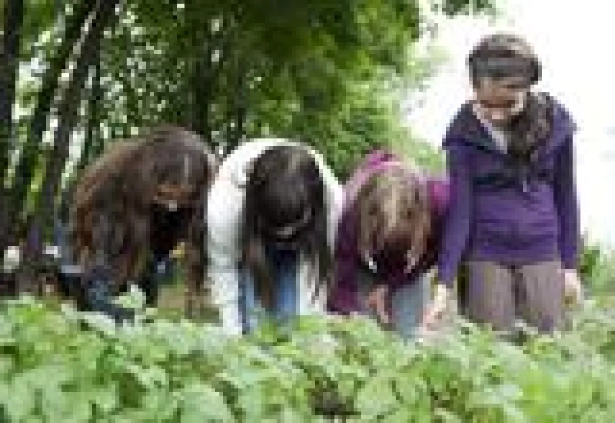 Copyright: Barbara Mair/wienXtra