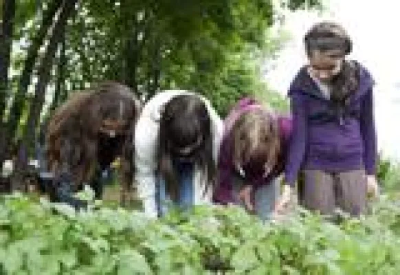 Bild: Garteln im Schulunterricht