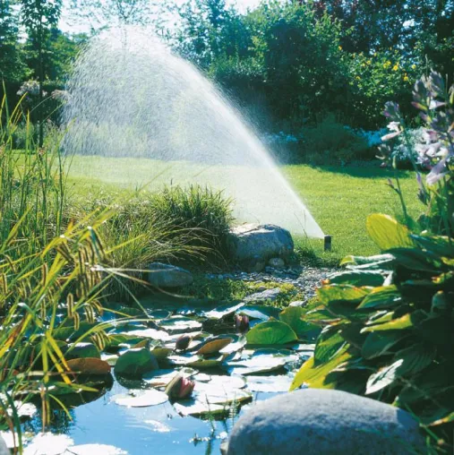 Bild: Gartenbewässerung: So grünt der Rasen auch im Sommer