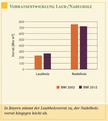 Bild: Bundeswaldinventur in Bayern: Mehr Wald, mehr Laubbäume, mehr Totholz