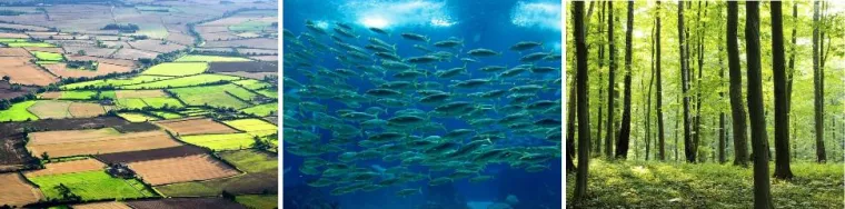 Bild: EU-Projekt DataBio startet in Kooperation mit Wissenschaftlern des InfAI