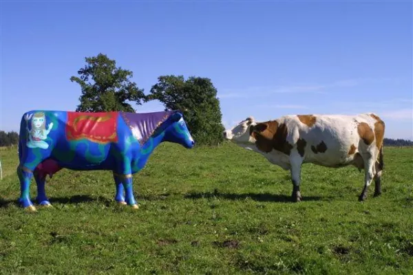 Bild: Wellness, Natur und ein Hausschwein . . .