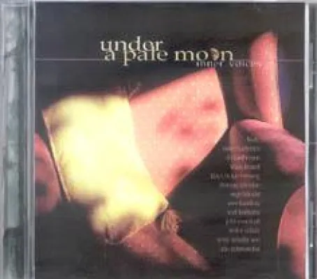 Bild: under a pale moon (CD Neuheit TT 200.04) - Nächtliche Märchen und andere Wahrheiten