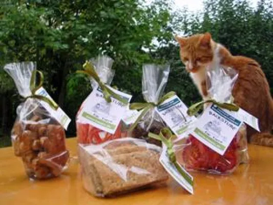 Bild: TROCKENFISCH für Mieze & Co.