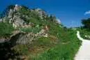 Wandertouren in Bayern mit der Natur im Einklang Bild: Wandertouren in Bayern mit der Natur im Einklang