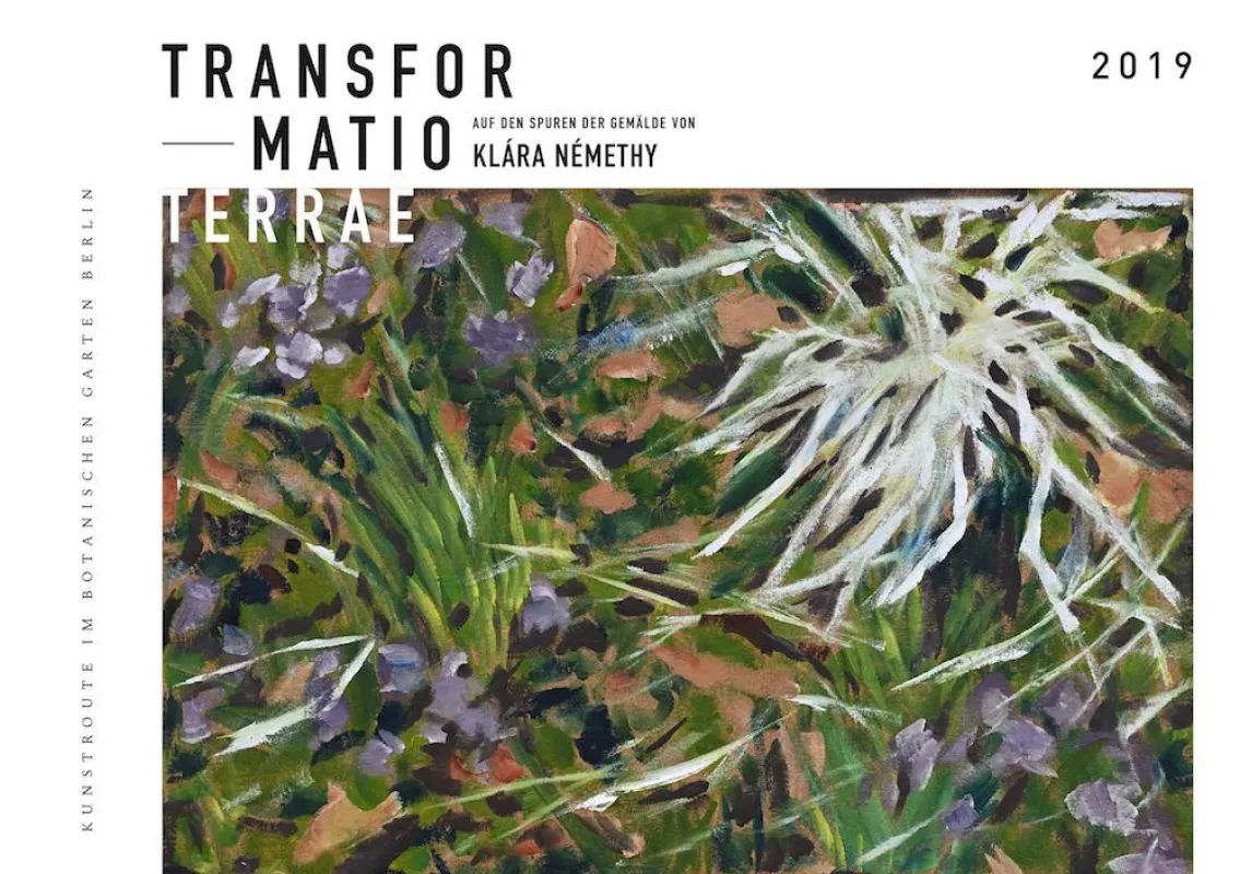 Klára Némethy, Blaustern und Karnevals Primel, Öl auf Holz, 35 X 55 cm, 2018