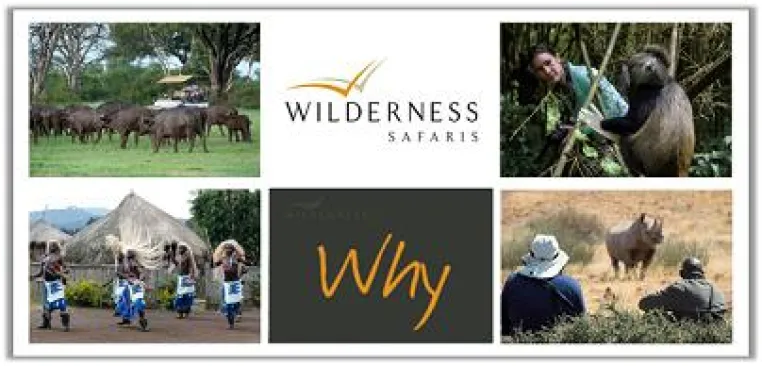 14“Reasons To Believe” für ein starkes Afrika-Wilderness Safaris launcht neue Website zur Unternehmensvision Bild: 14“Reasons To Believe” für ein starkes Afrika-Wilderness Safaris launcht neue Website zur Unternehmensvision