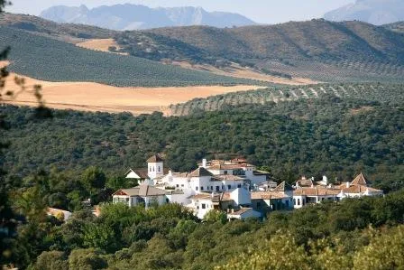 Bild: Hoch hinaus in Andalusien