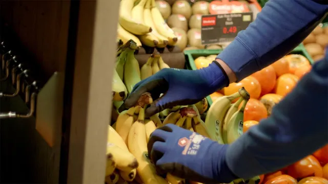 Nino Mai Arbeitsschutz GmbH: Medizinische Arbeitshandschuhe im Test Bild: Nino Mai Arbeitsschutz GmbH: Medizinische Arbeitshandschuhe im Test