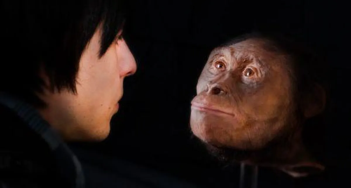 Die Rekonstruktion eines 4,4 Mio. Jahre alten Vormenschen