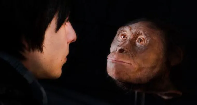 Jetzt in Dresden: Täuschend echte Rekonstruktion eines Vormenschen Bild: Jetzt in Dresden: Täuschend echte Rekonstruktion eines Vormenschen