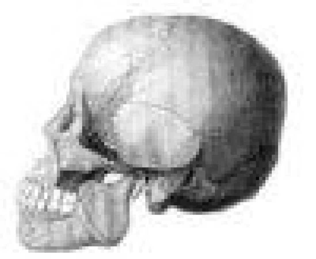 Sein oder Nichtsein...