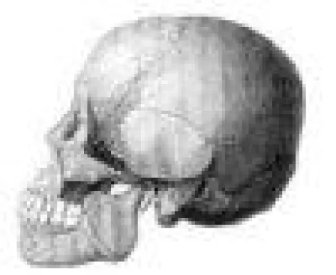 WIKILAW das kollaborative LEX(ICON) des Rechts Bild: WIKILAW das kollaborative LEX(ICON) des Rechts