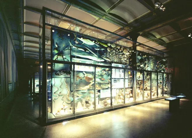 Wiedereröffnung des Berliner Naturkundemuseums: \"Evolution in Aktion\" mit COMPLEXX Bild: Wiedereröffnung des Berliner Naturkundemuseums: \"Evolution in Aktion\" mit COMPLEXX