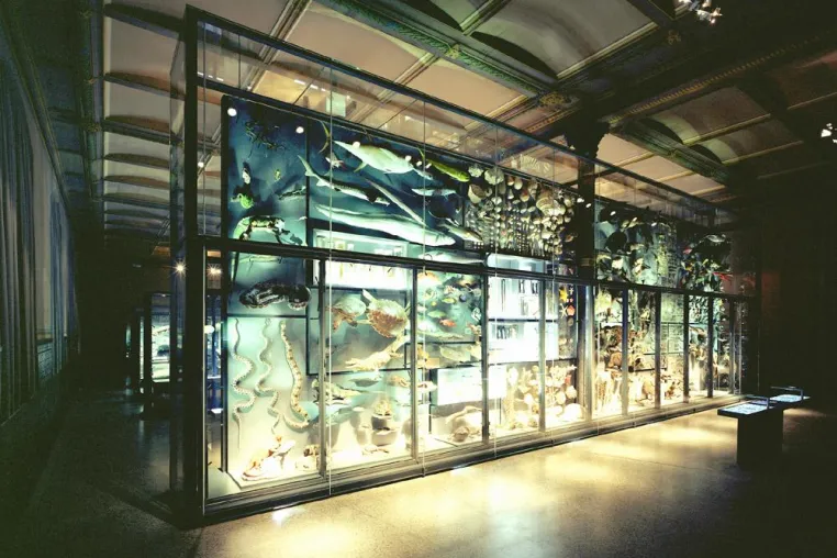 Bild: Wiedereröffnung des Berliner Naturkundemuseums: \"Evolution in Aktion\" mit COMPLEXX