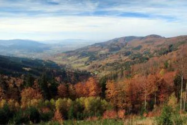 Bild: Goldene Kur Bad Schwarzbach