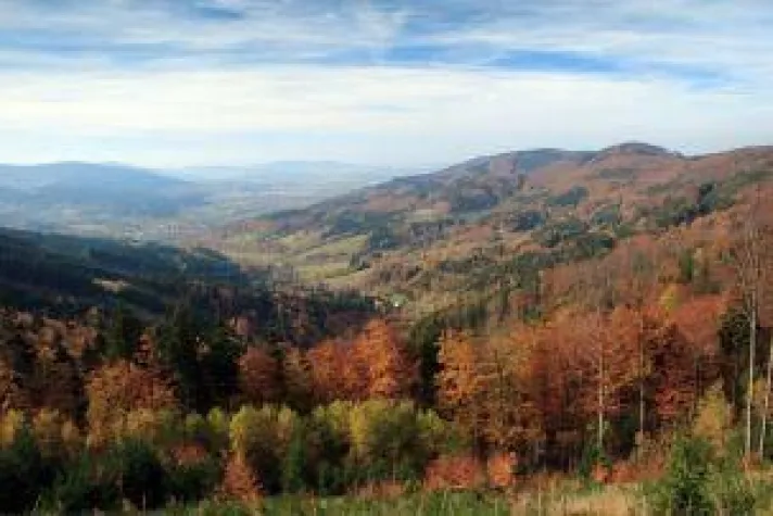 Goldene Kur Bad Schwarzbach Bild: Goldene Kur Bad Schwarzbach