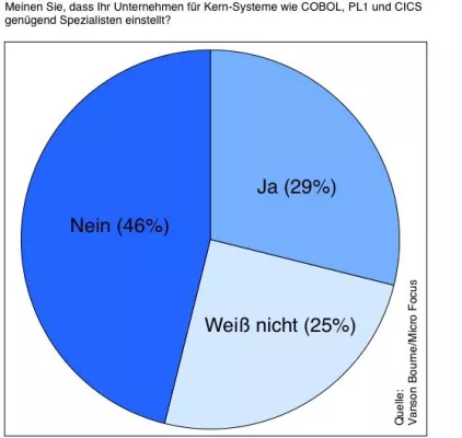 Bild: Unternehmen vernachlässigen das Know-how für ihre Kern-Applikationen