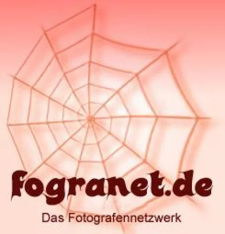 Bild: Fotografen bundesweit im Einsatz