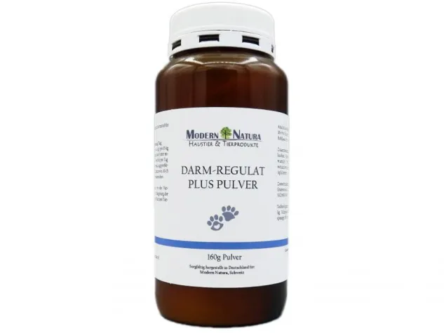 Bild: Gesunder Darm - starker Hund