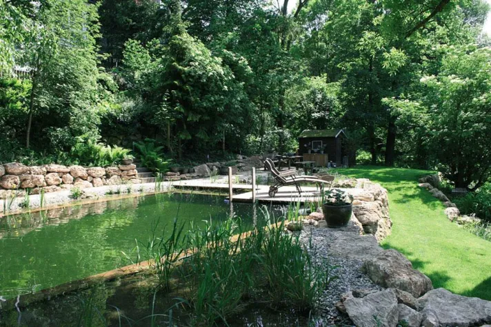 Bild: Bade-Biotop im eigenen Garten