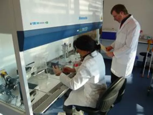 Bild: Gefährdet der Bundesrat unsere Gesundheit?