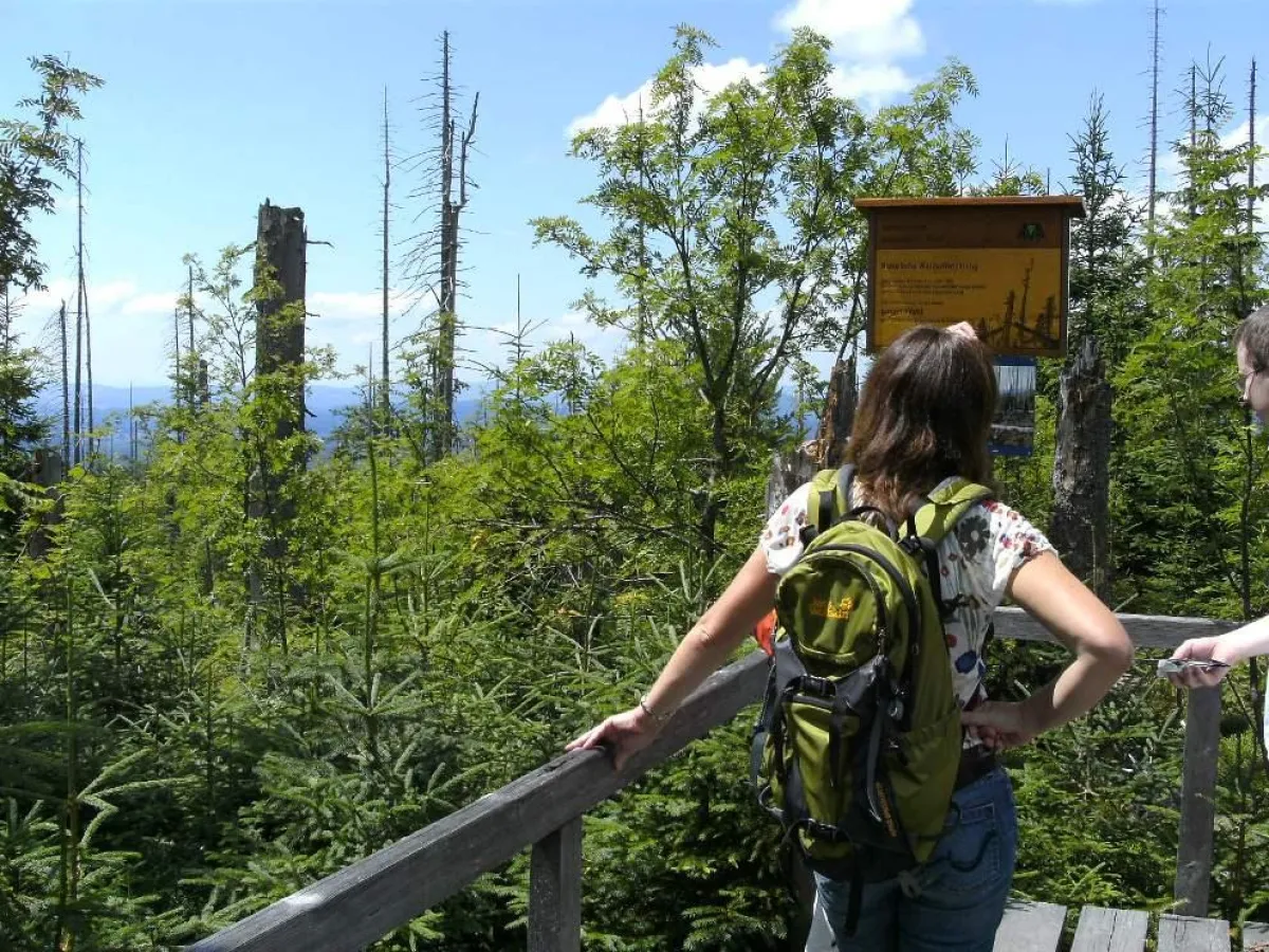 Wanderer-Glück. Der Ausblick vom Lusen zum Rachel. (Foto: Gertraud Wildfeuer)