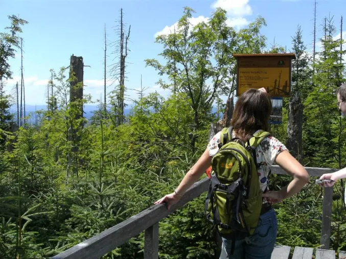 Bild: Natürlich & gastfreundlich: Wanderurlaub im Bayerischen Wald