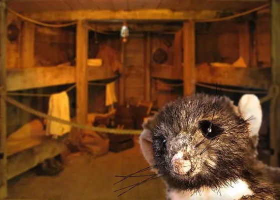 Bild: BallinStadt mit neuem Angebot für Kinder