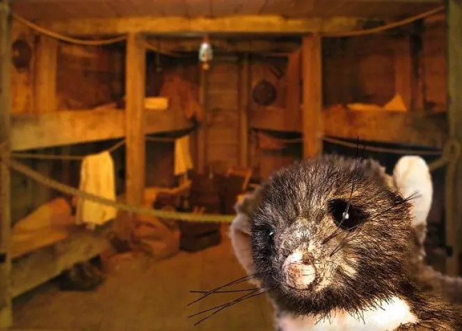 Bild: BallinStadt mit neuem Angebot für Kinder